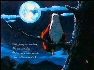 inuyasha1.jpg